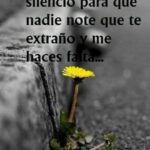 ¿Cómo saber si un hombre te extraña en silencio? como-saber-si-un-hombre-te-extrana-en-silencio
