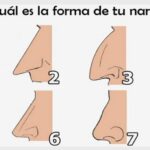 ¿Cómo se hereda la forma de la nariz? como-se-hereda-la-forma-de-la-nariz