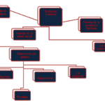 ¿Cuál es la historia de la familia? cual-es-la-historia-de-la-familia