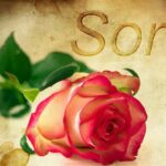 ¿Qué hacer cuando hay problemas de crianza en la familia? ¿Qué hacer cuando hay problemas de crianza en la familia?