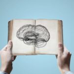 ¿Qué características no se pueden heredar? que-caracteristicas-no-se-pueden-heredar