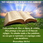 ¿Qué dice Proverbios 17 6? que-dice-proverbios-17-6