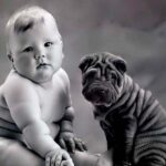¿Qué rasgos se heredan de los padres? que-rasgos-se-heredan-de-los-padres