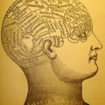 ¿Qué tan cierto es que la inteligencia se hereda de la madre? que-tan-cierto-es-que-la-inteligencia-se-hereda-de-la-madre